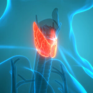 surgery endocrine & Urology - Delta