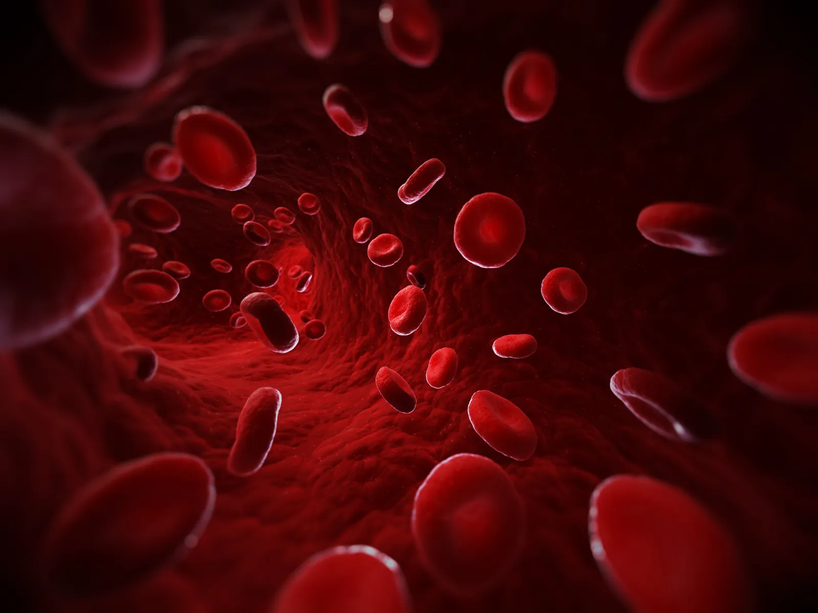 Blood & Immunity