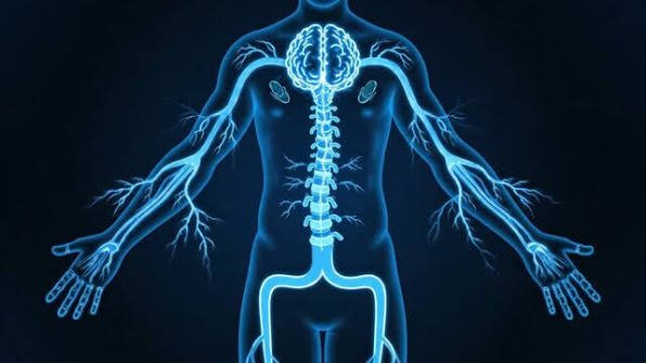 Basic of Health – 2