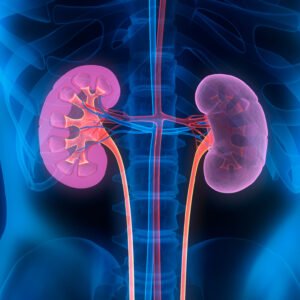 Medicine (Endocrine & Nephrology)