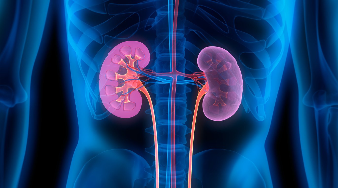 Medicine (Endocrine & Nephrology)
